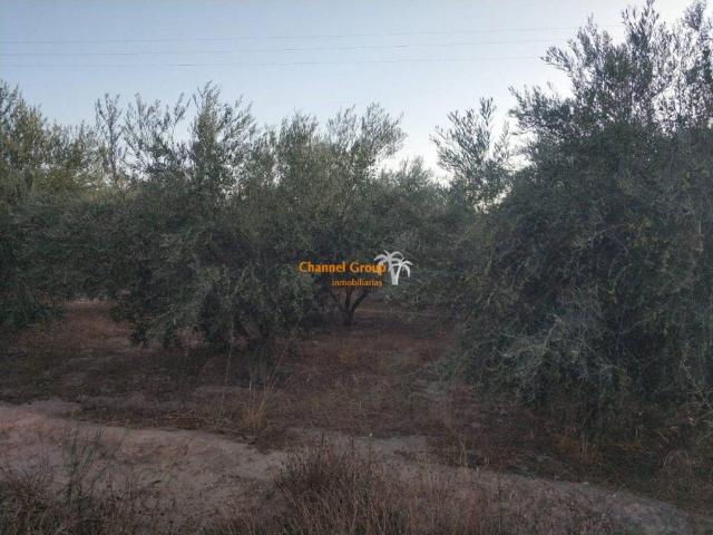 Casa Rural en venta en el Baix Vinalopó, Valencia