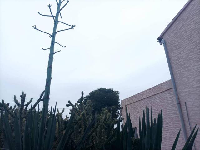 Casa Rural en venta en Elche
