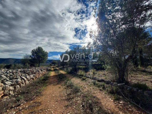 Terreno en venta en La Canal de Navarrés, Valencia