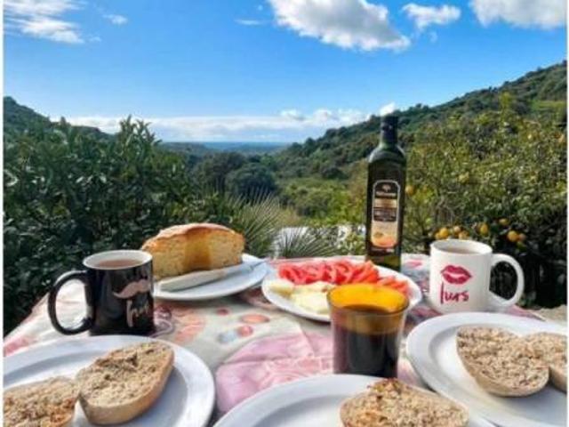 Casa Rural en venta en Costa del Sol Occidental, Andalucía