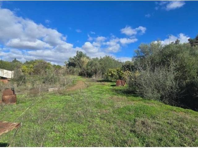 Casa Rural en venta en Costa del Sol Occidental, Andalucía