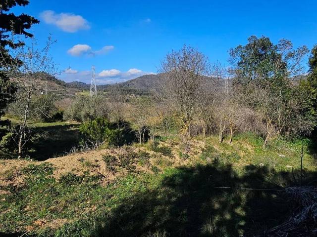 Casa Rural en venta en La Bisbal De Falset, Tarragona