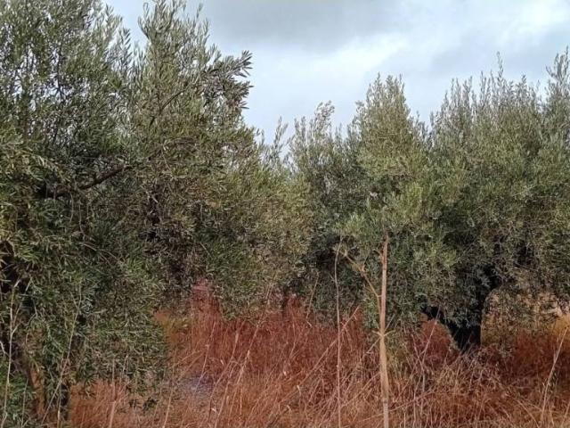 Casa Rural en venta en Felix, Andalucía