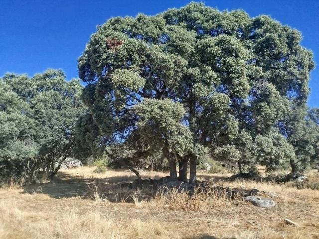 Casa Rural en venta en Fresnedillas De La Oliva