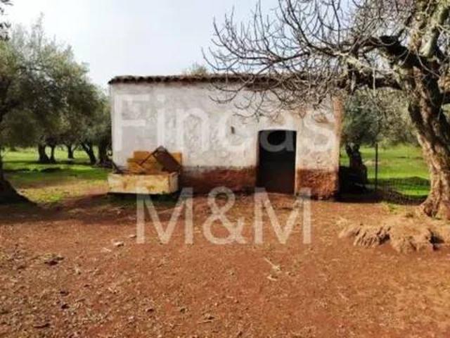 Casa Rural en venta en Fuentes De León, Extremadura