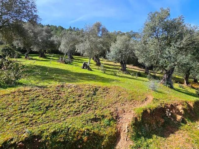 Casa Rural en venta en Sierra de Huelva, Andalucía