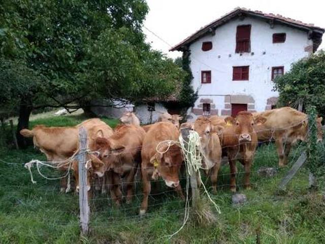 Casa Rural en venta en Gautegiz Arteaga, Guipúzcoa