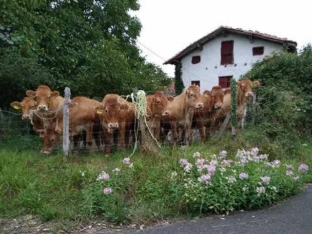 Casa Rural en venta en Gautegiz Arteaga, Guipúzcoa