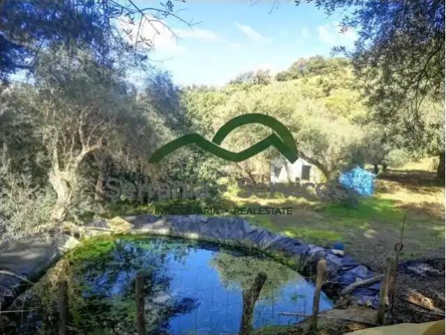 Casa Rural en venta en Serranía de Ronda, Andalucía