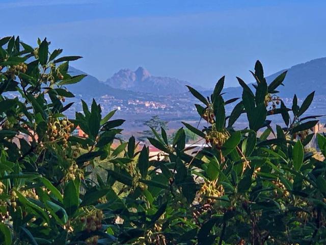 Casa Rural en venta en Guadarrama, Madrid
