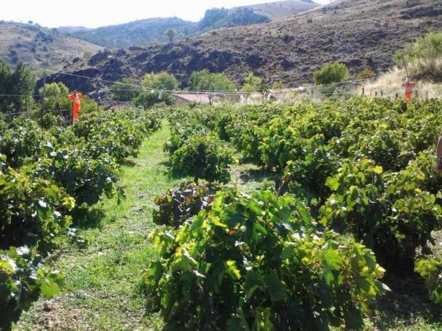 Casa Rural en venta en Comarca de Guadix, Andalucía