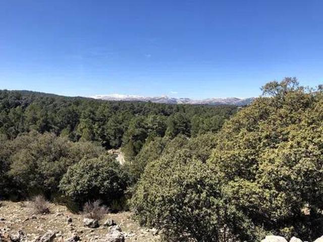 Casa Rural en venta en Comarca de Huéscar, Andalucía