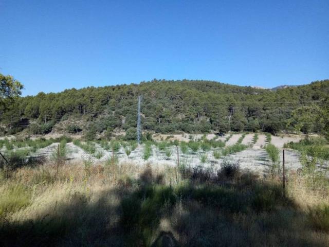 Casa Rural en venta en Comarca de Huéscar, Andalucía