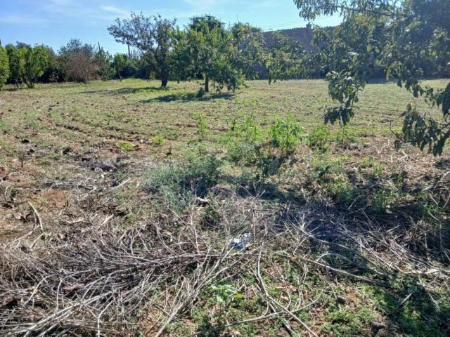 Casa Rural en venta en Raiguer, Baleares