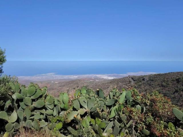 Casa Rural en venta en Ingenio, Canarias