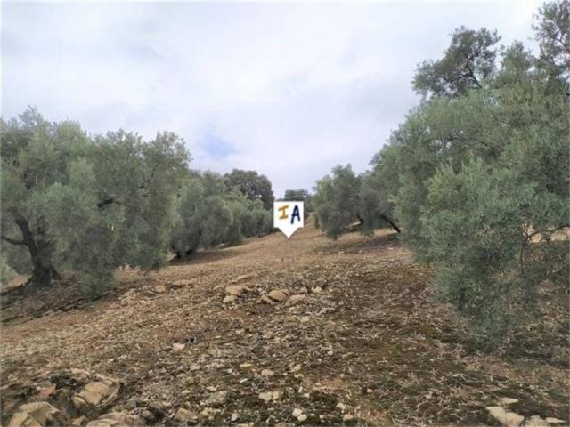 Casa Rural en venta en Iznájar, Andalucía