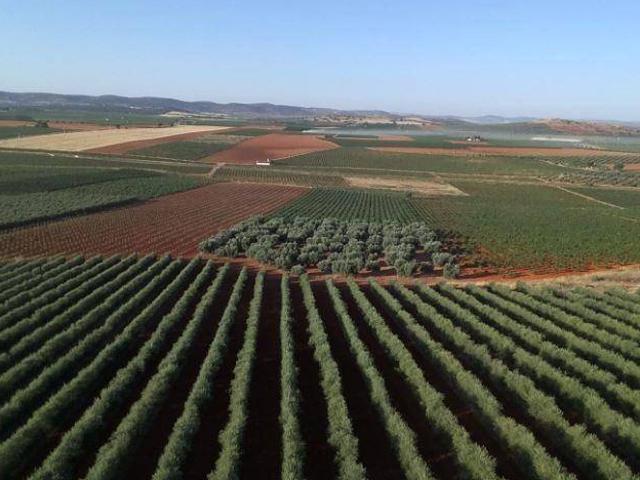 Casa Rural en venta en Jaén