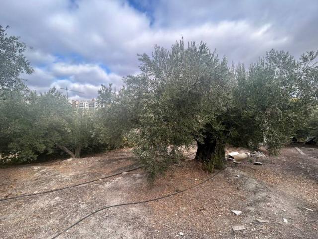 Local Comercial en venta en Jaén, Andalucía