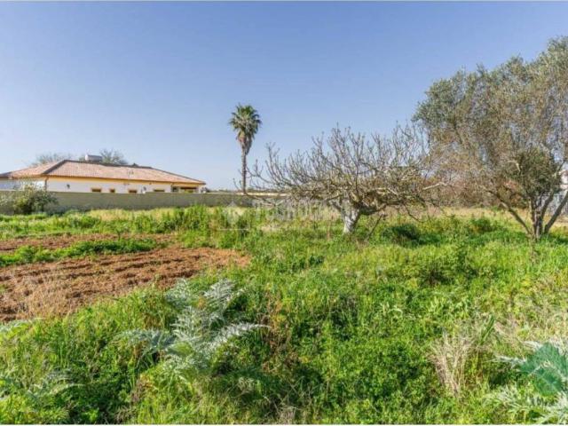 Casa Rural en venta en Campiña de Jerez, Andalucía