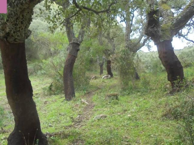 Casa Rural en venta en Campiña de Jerez, Andalucía