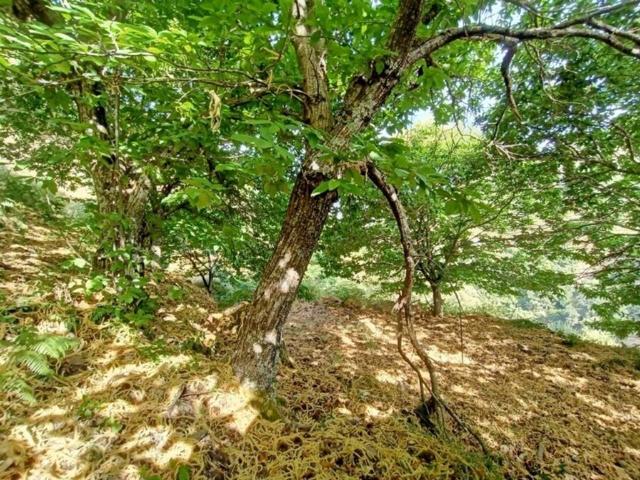 Casa Rural en venta en Serranía de Ronda, Andalucía