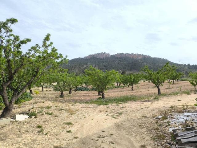 Casa Rural en venta en Altiplano, Murcia