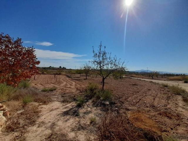 Casa Rural en venta en Altiplano, Murcia