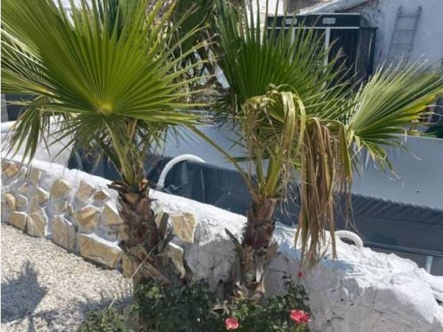 Casa Rural en venta en Altiplano, Murcia
