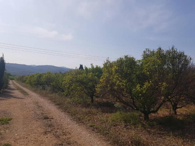 Terreno en venta en Montsià, Catalunya