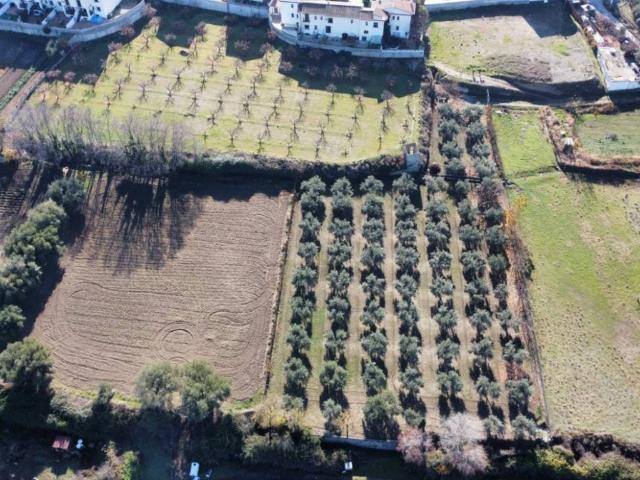 Casa Rural en venta en La Zubia