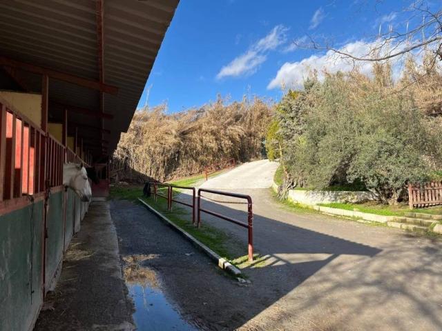 Casa Rural en venta en Comarca de la Vega de Granada, Andalucía