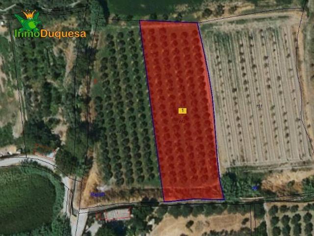 Casa Rural en venta en Comarca de la Vega de Granada, Andalucía