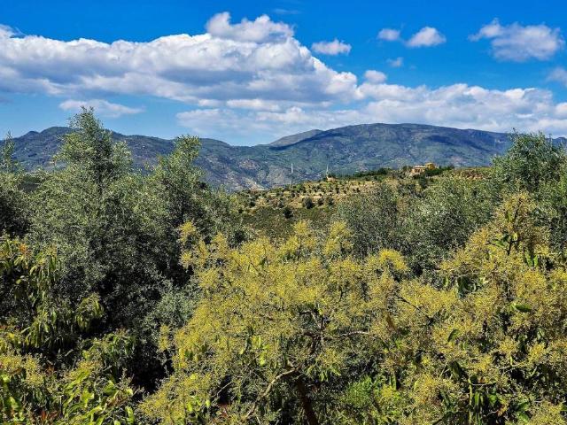 Casa Rural en venta en Comarca de la Alpujarra Granadina, Andalucía
