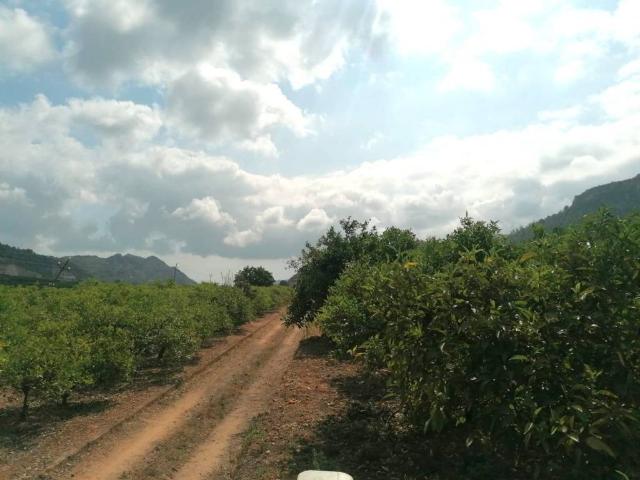 Casa Rural en venta en Alicante