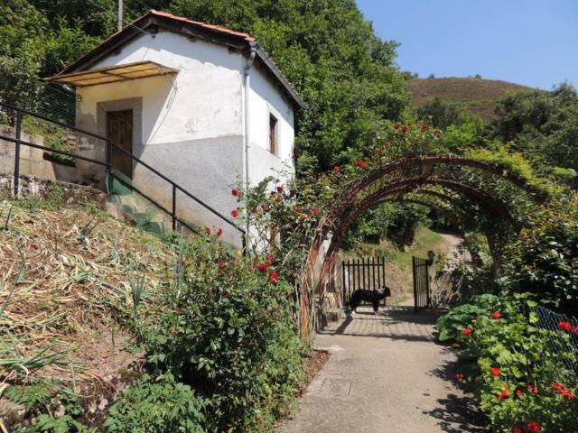 Casa Rural en venta en Laviana, Asturias