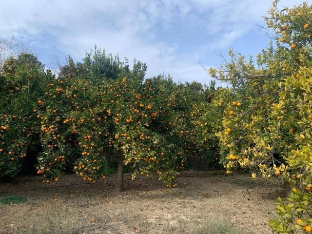Casa Rural en venta en Comarca del Valle de Lecrín, Andalucía