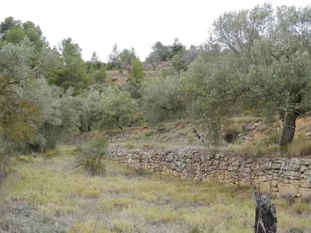 Casa Rural en venta en Matarraña / Matarranya, Lledó