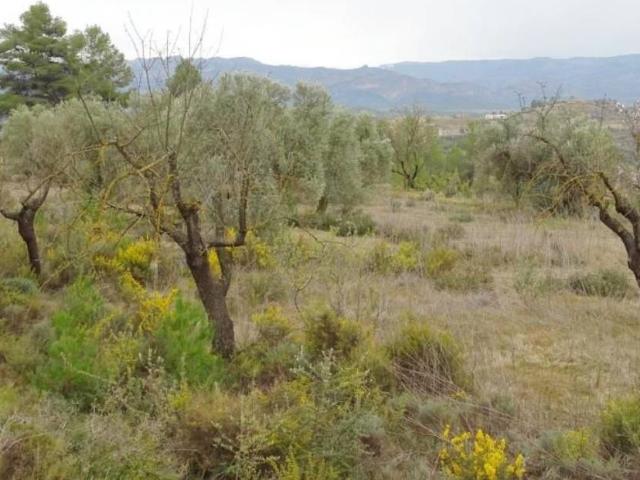 Casa Rural en venta en Matarraña / Matarranya, Lledó