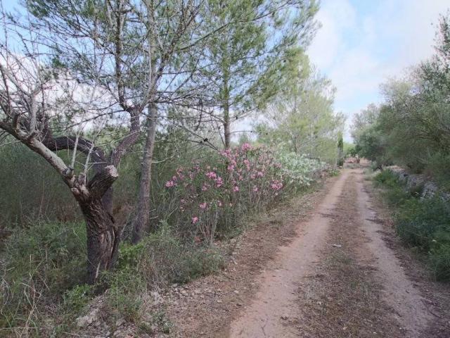 Terreno en venta en Llubí Terreno en venta en Llubí