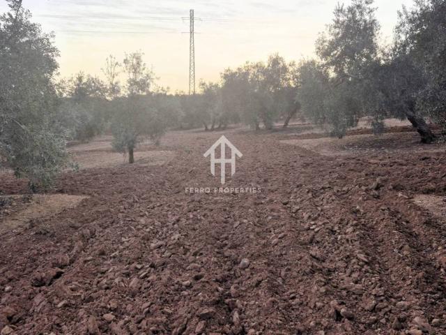 Terreno en venta en Ventorros de la Laguna, Comarca de Loja