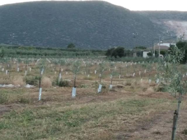Casa Rural en venta en Lora De Estepa, Andalucía