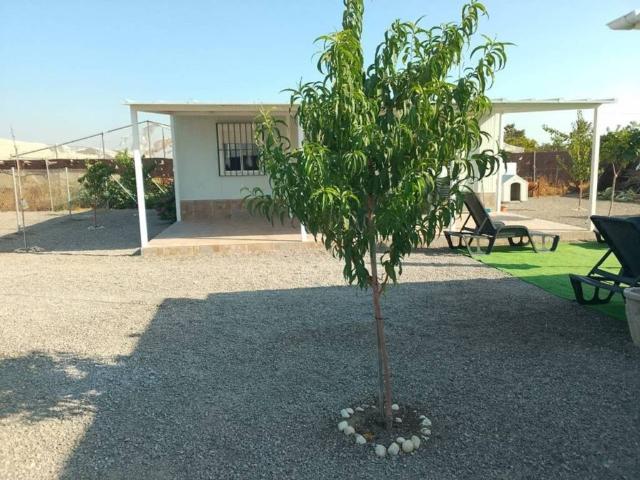 Casa Rural en venta en Los Palacios Y Villafranca, Andalucía