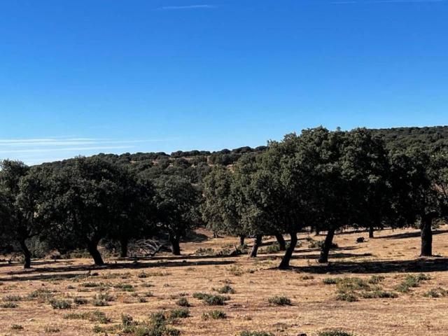 Terreno en venta en Lumbrales, Castilla y León