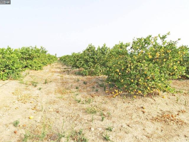 Casa Rural en venta en Málaga-Costa del Sol, Andalucía