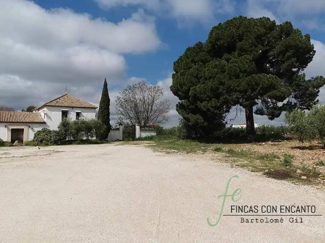 Casa Rural en venta en Marchena, Andalucía