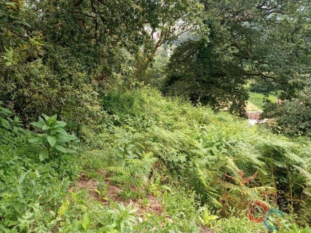 Casa Rural en venta en O Morrazo, Galicia