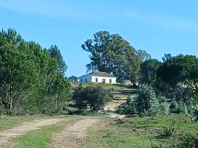 Casa Rural en venta en Moguer