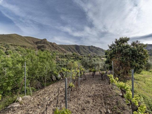 Casa Rural en venta en Monachil