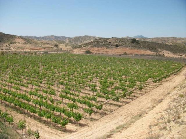 Casa Rural en venta en el Vinalopó Mitjà / El Vinalopó Medio, Valencia