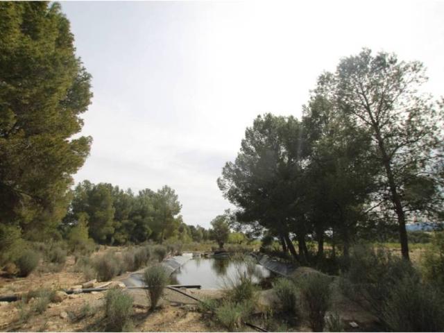 Casa Rural en venta en el Vinalopó Mitjà / El Vinalopó Medio, Valencia